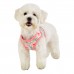 Pettorina Pettorine Puppia VERNA HARNESS B